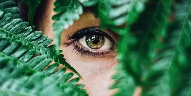 Vision and exercises to restore it